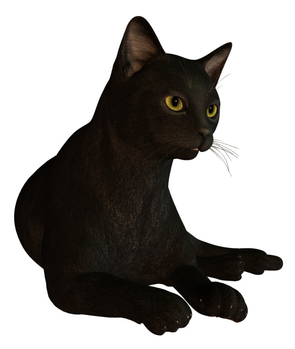 黑猫高清PNG透明图片，动植物元素动物设计素材，一键下载