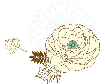 手绘花卉PNG透明素材，高清花瓣漂浮元素，免费下载