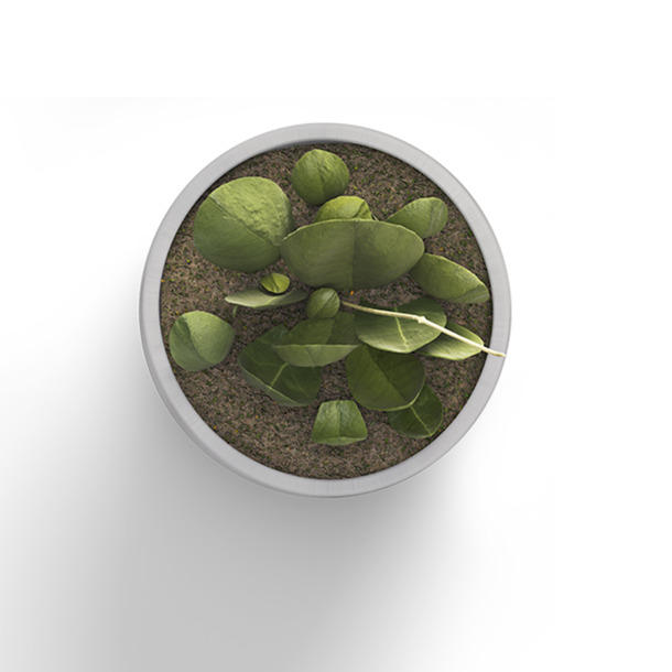 白色植物花盆PNG透明图，高清叶子漂浮元素设计素材下载