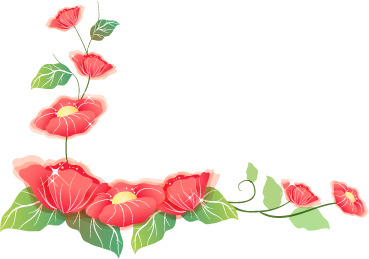 淘宝精选，高清PNG透明花朵素材，花瓣设计，漂浮元素，一键下载！