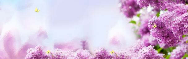 紫色梦幻花朵高清PNG透明背景素材，创意Banner海报设计元素免费下载