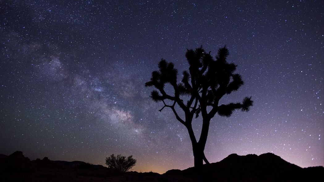 夜晚星空剪影，高清4K树影星星壁纸，3840x2160超清风景图片下载