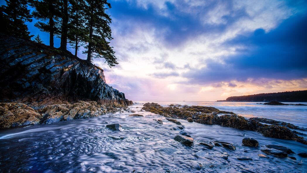 阿拉斯加自然美景，水流、树影、石头，4K高清壁纸（3840x2160）下载
