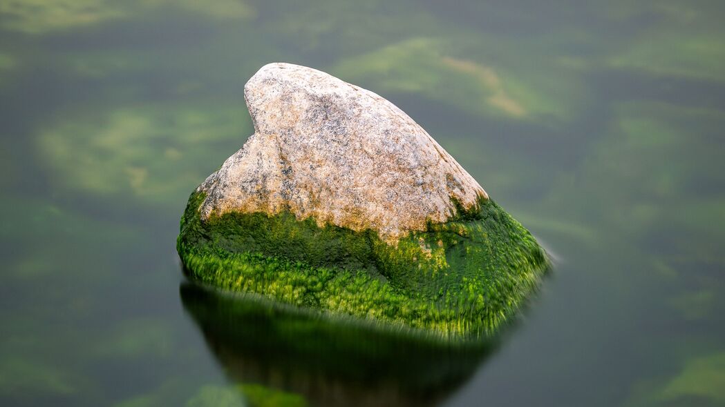 石头苔藓水景，超清4K壁纸，3840x2160高清下载，自然之美尽收眼底