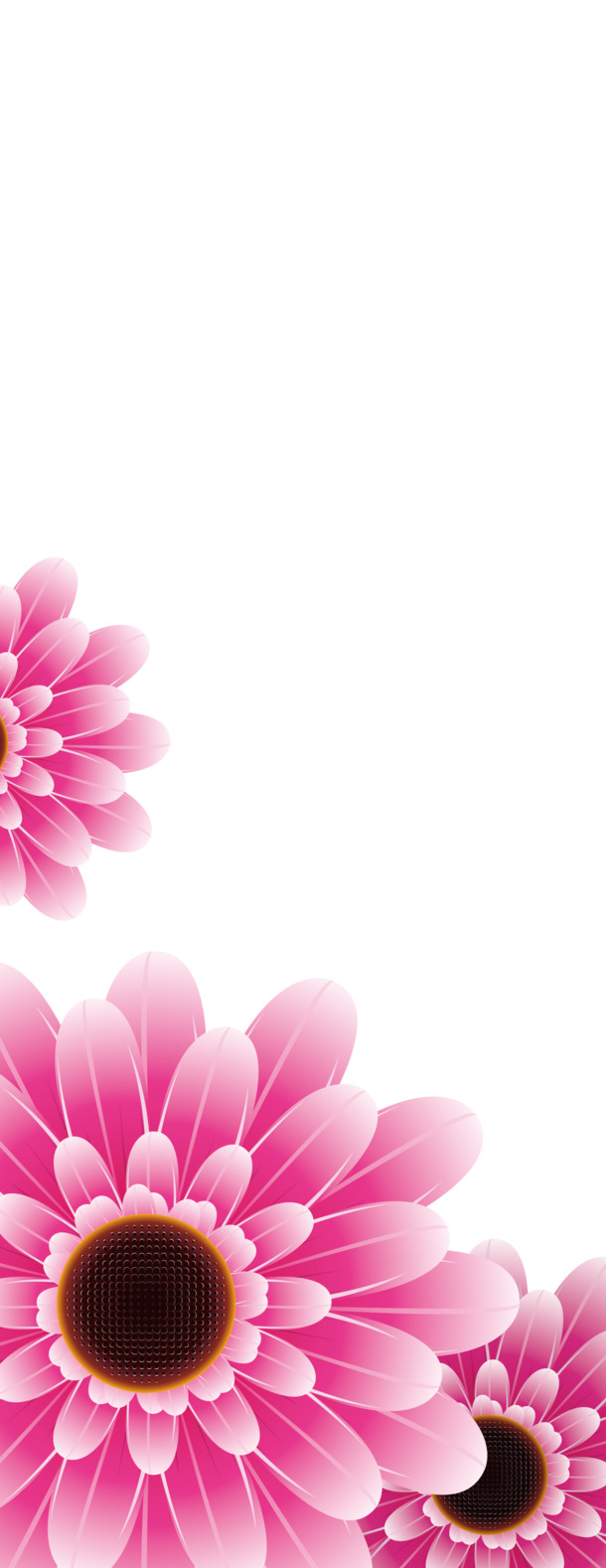 红色菊花高清PNG透明底纹，AI设计素材免费下载