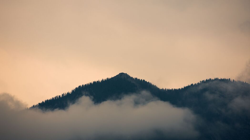 山丘雾绕森林美景，4K高清壁纸下载，分辨率3840x2160