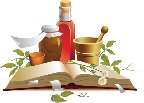 中草药卡通插图，高清PNG透明图片，中国风装饰元素，设计素材下载
