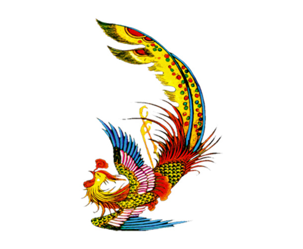 美丽彩凤PNG透明图，高清动植物元素动物设计素材，免费下载