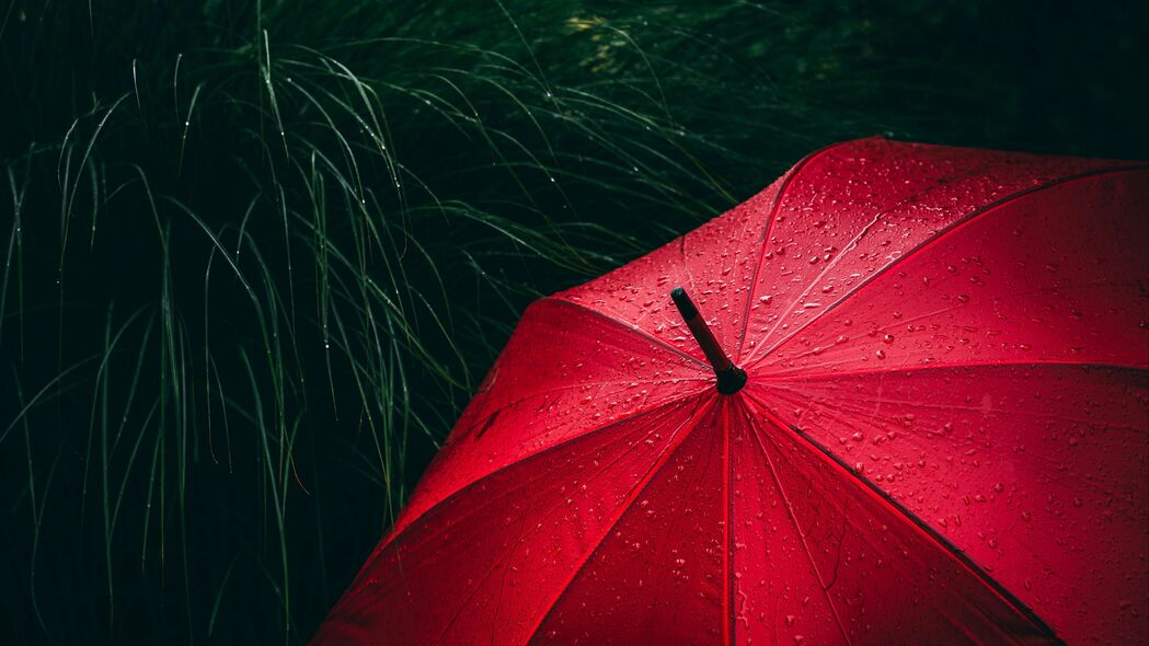 高清4K雨滴草地雨伞壁纸，3840x2160超高清背景图片，一键下载！