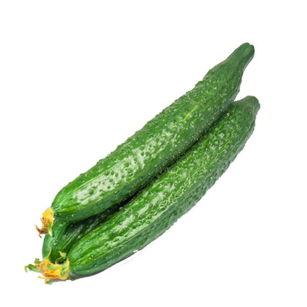 黄瓜PNG透明图，高清装饰元素与植物设计素材，一键下载！