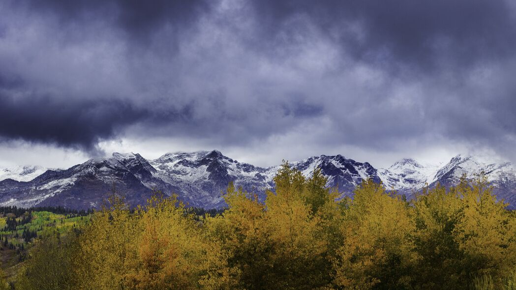 灌木山脉雪地美景，4K高清壁纸，3840x2160分辨率，一键下载！