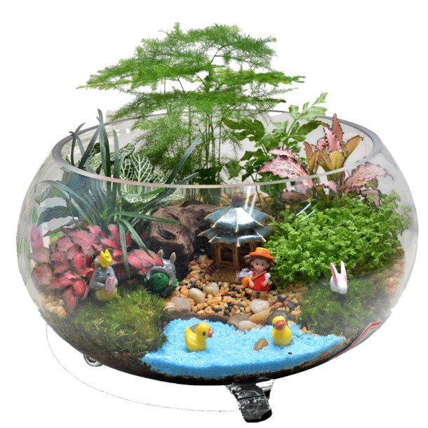 苔藓微景观组合植物生态瓶PNG/PSD素材，高清透明图片，创意装饰元素下载