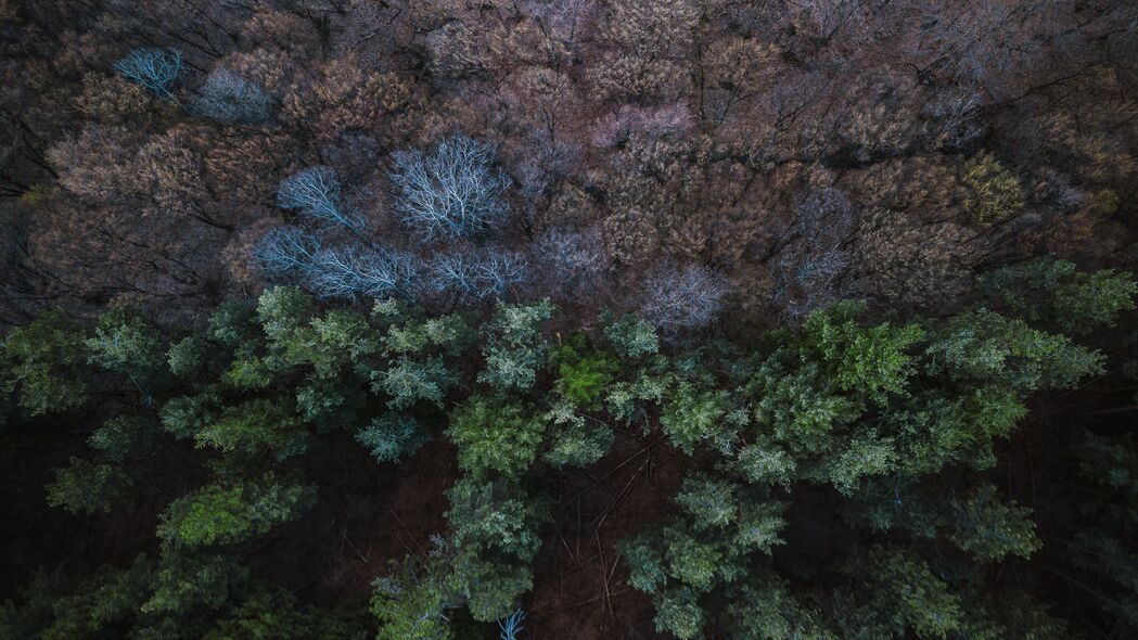 森林鸟瞰，平衡之美，4K超清壁纸，3840x2160高清风景图，一键下载