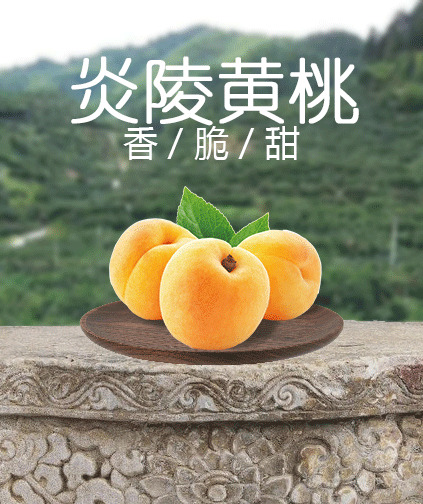 炎陵黄桃，精选高清PNG透明背景banner海报设计素材，PSD源文件免费下载