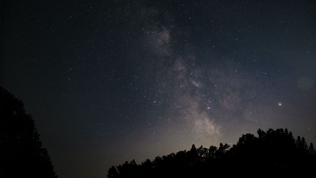 星空夜晚，树木映苍穹，3840x2160超清4K风景壁纸下载