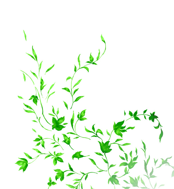 绿色卡通花藤端午PNG素材，高清透明图片，节日设计元素免费下载