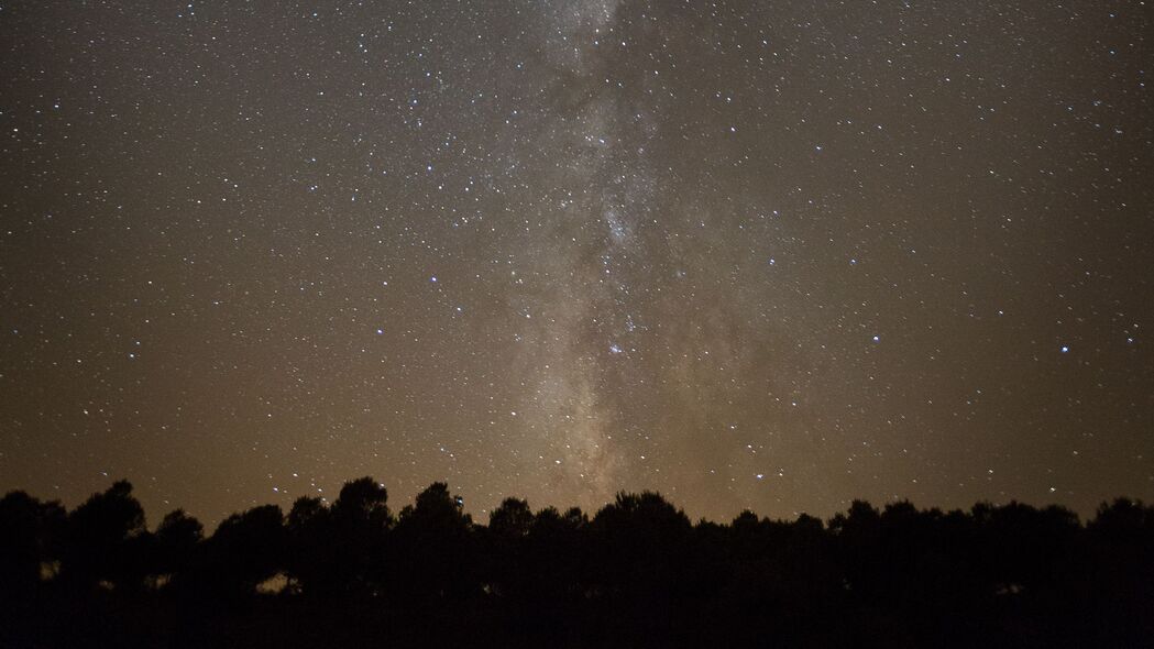 星空剪影，树木映空间，4K超清壁纸，3840x2160极致体验，下载高清风景图片