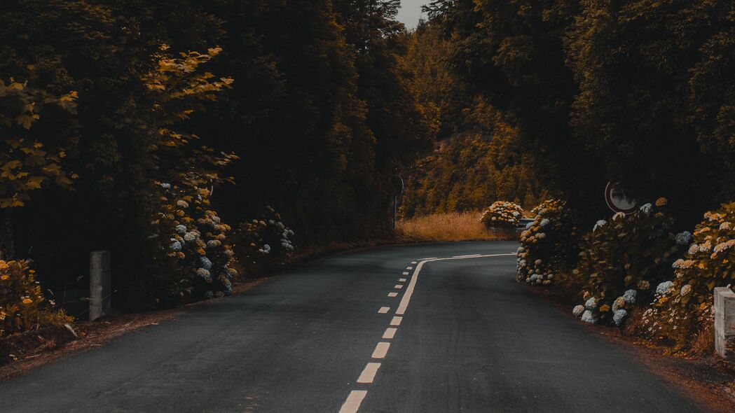 道路标记与灌木花朵美景，4K高清壁纸，3840x2160分辨率，下载尽享自然风光