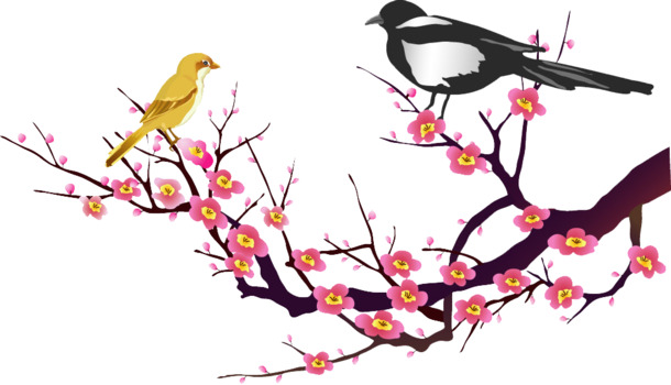 腊梅小鸟PNG透明图，高清装饰元素，笔触设计素材下载