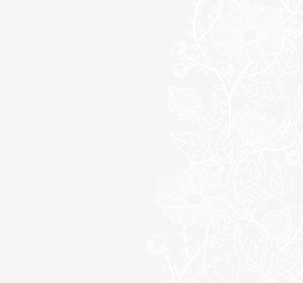 蕾丝花纹边框PNG透明图片，动植物元素设计素材高清下载