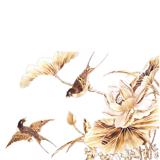 花鸟图PNG透明素材，高清动物装饰元素，一键下载设计必备