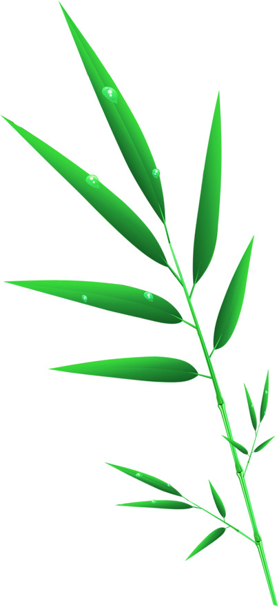 绿色卡通清新竹叶PNG素材，高清透明，端午节节日元素设计必备