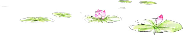 中国风荷花PNG素材，高清透明图片，装饰元素含墨迹笔触，免费下载