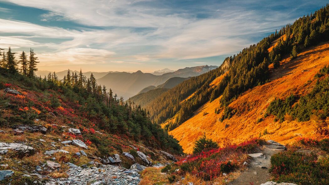 树木山丘浮雕美景，4K超高清壁纸3840x2160，免费下载！