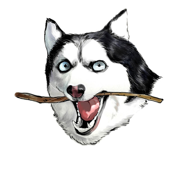 手绘哈士奇PNG素材，高清透明卡通手绘元素，设计必备下载资源