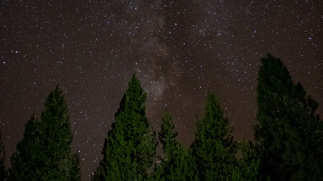 星空树木璀璨星光，精选4K超清壁纸，3840x2160高清风景图片下载