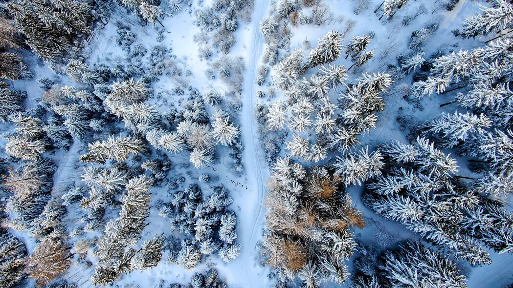 冬季森林雪景鸟瞰图，4K高清壁纸，3840x2160分辨率，下载欣赏