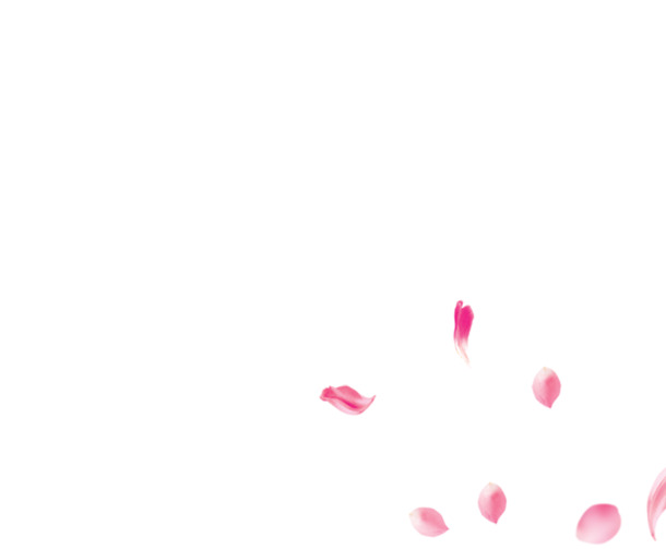 玫瑰与牡丹花瓣高清PNG，透明装饰元素，植物设计素材下载