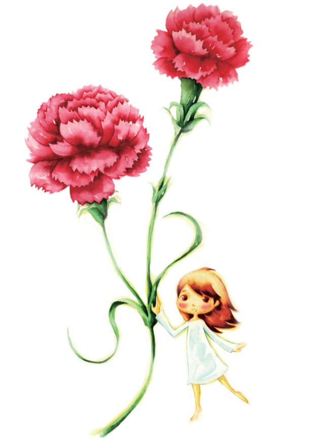水彩康乃馨插画，高清PNG透明图片，植物装饰元素PSD设计素材下载