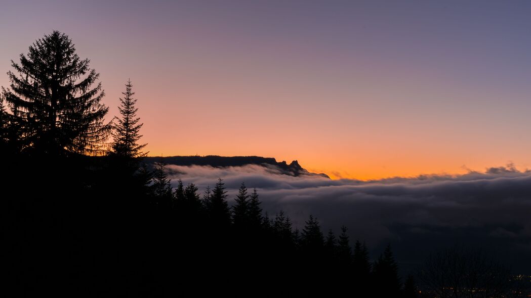 雾漫地平线，日落森林树木美景，4K高清壁纸3840x2160免费下载