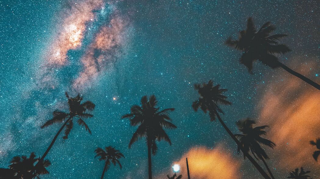 棕榈树星空夜晚，深色4K高清壁纸，3840x2160超清大图下载