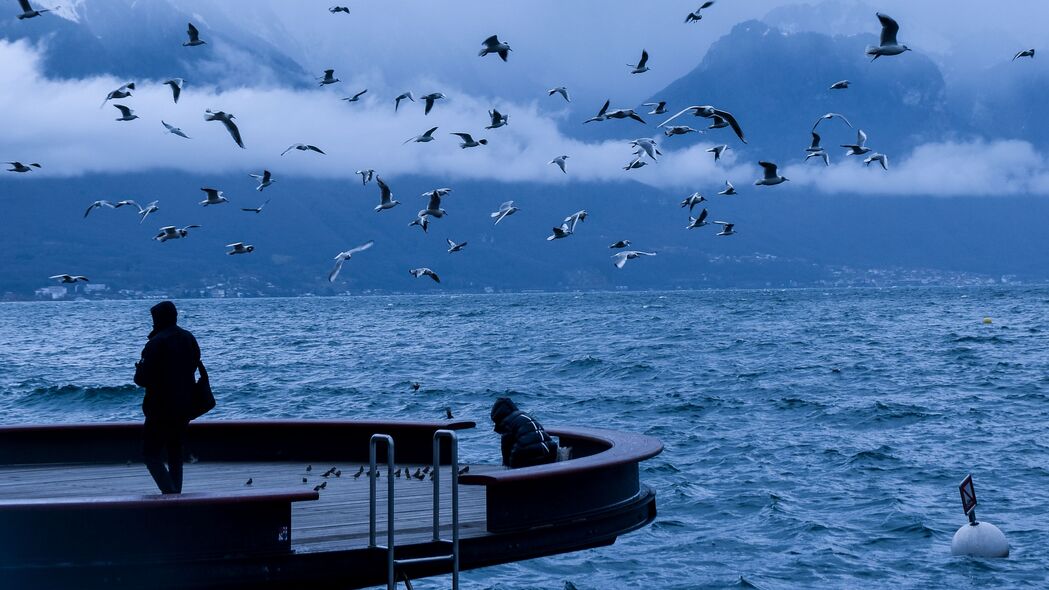 码头风光，人鸟和谐共融，海景自然之美，精选4K超高清壁纸（3840x2160）免费下载