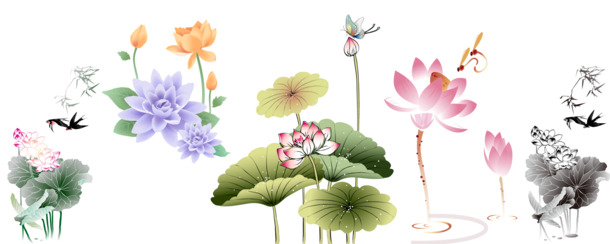 荷花、莲花、佛、禅，精选高清PNG透明图片，动植物元素丰富，植物设计素材免费下载