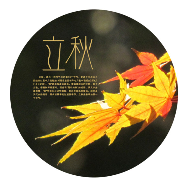 立秋节气PNG透明图片，高清节日元素PSD设计素材下载