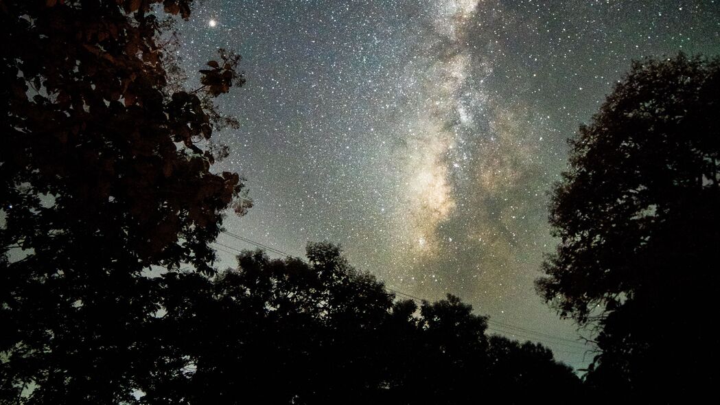 棵树映星空，夜晚黑暗中的自然之美，高清4K壁纸（3840x2160）下载