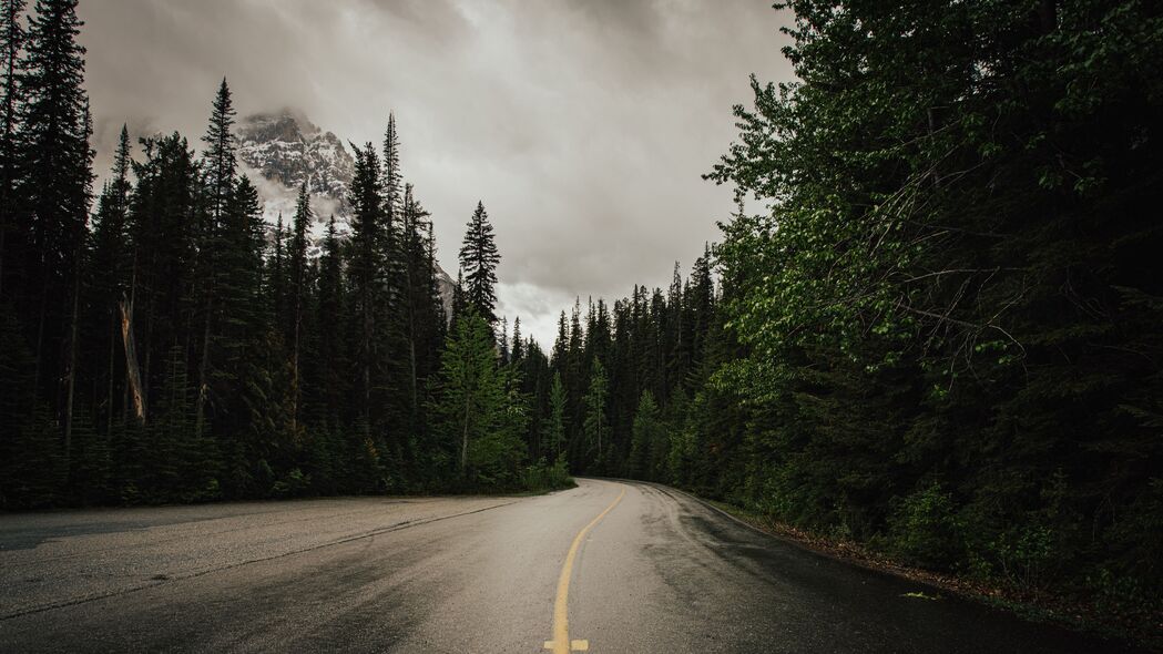 道路绿意融沥青，自然美景4K壁纸，3840x2160高清下载