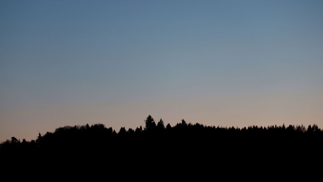 森林黄昏日落美景，3840x2160超清4K壁纸，高清风景图片下载