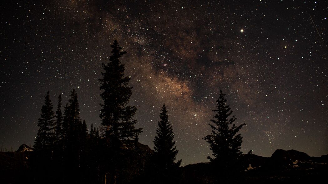 星空树木之夜，深邃黑暗中的自然之美，高清4K壁纸（3840x2160）免费下载