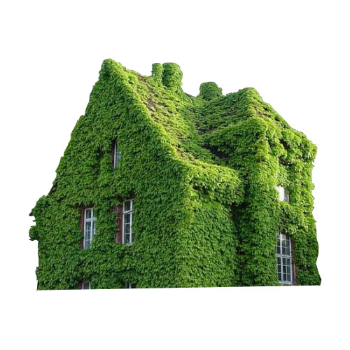 绿色植物房子PNG透明背景高清素材，摄影风景设计元素免费下载