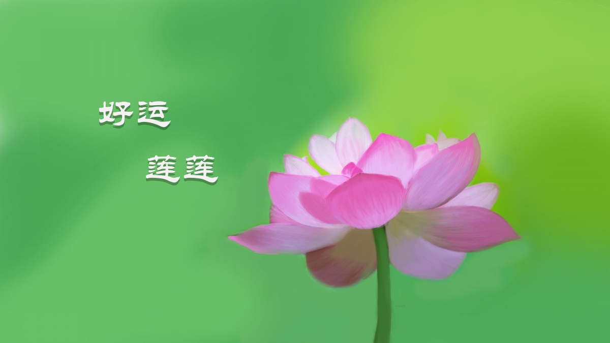 手绘荷花，好运莲莲，清新唯美护眼壁纸，8K高清背景图片下载