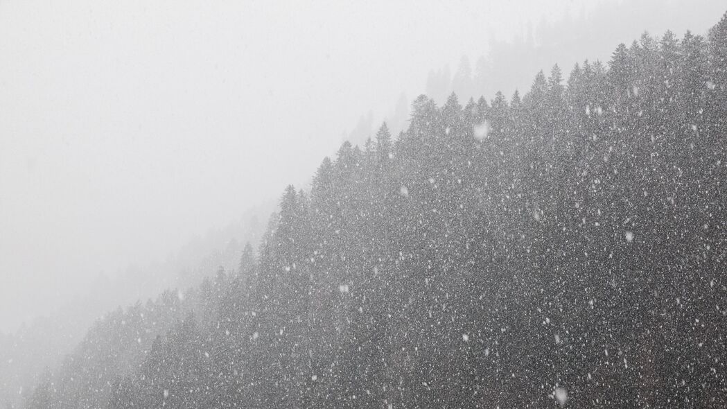 冬日森林暴风雪4K高清壁纸，黑白雪境，3840x2160极致分辨率，免费下载