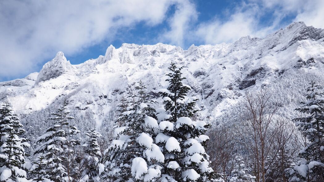 山脉雪景树木景观，冬季高清4K壁纸（3840x2160）免费下载