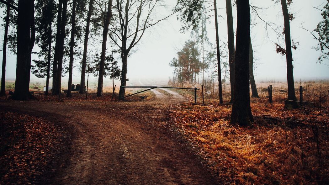 道路障碍树木雾景，自然之美尽收眼底！4K高清壁纸3840x2160，下载畅享自然风光