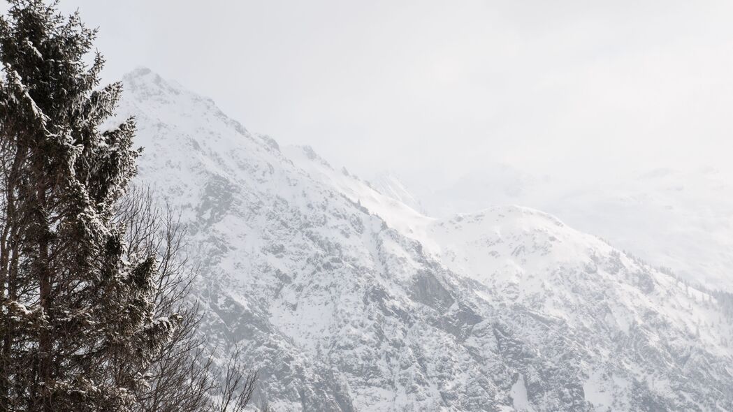 山雪树影冬季斜坡，绝美4K高清壁纸3840x2160免费下载