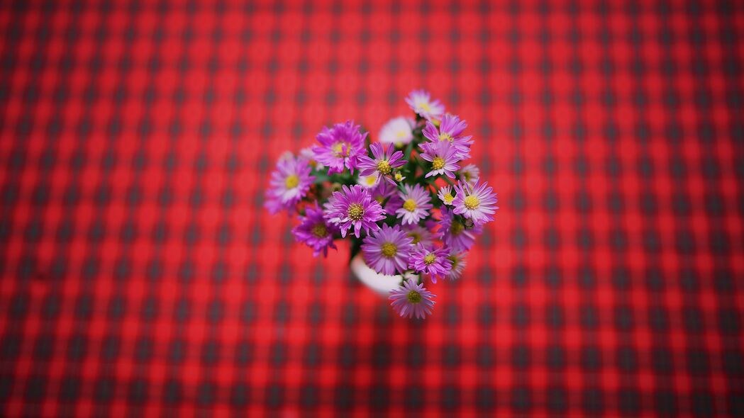 鲜花花束紫色魅力，超清4K壁纸，3840x2160高清背景图片下载