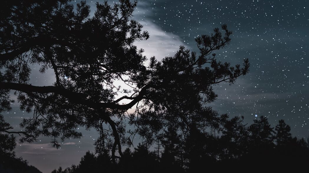 树影星空，璀璨星星点缀的夜晚云景，4K高清壁纸3840x2160免费下载